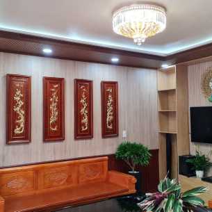 Mẫu 2 - Trần giật cấp Lam sóng + Nano