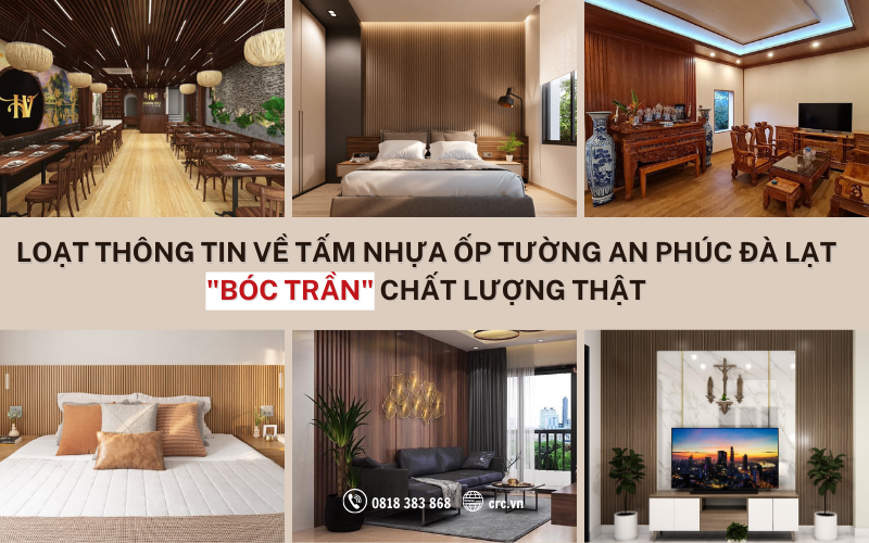 tam nhua op tuong an phuc da lat (2)