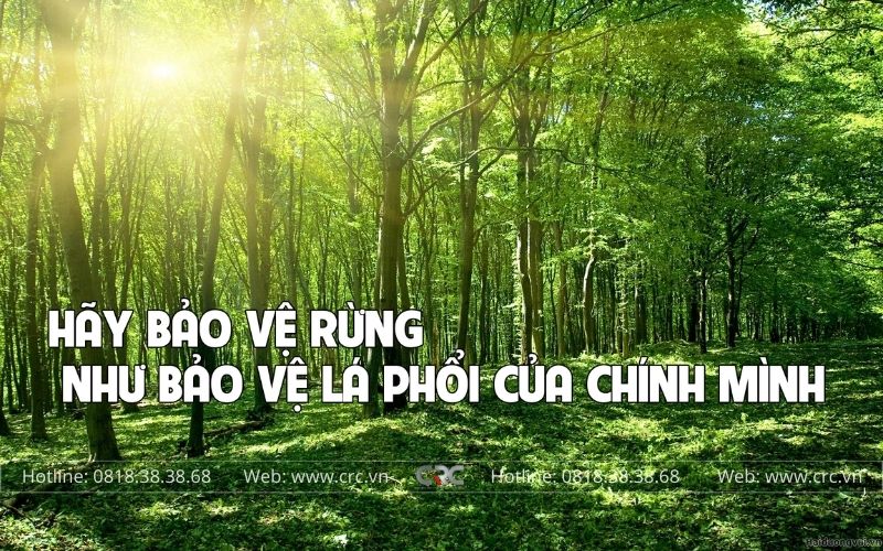 phoi cua nhua composite chat luong crcdoor (4)