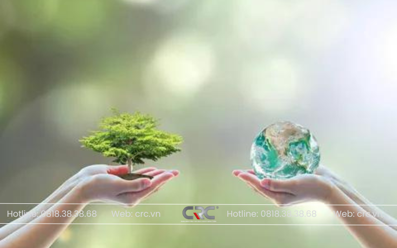 Ảnh trong bài Blog Web